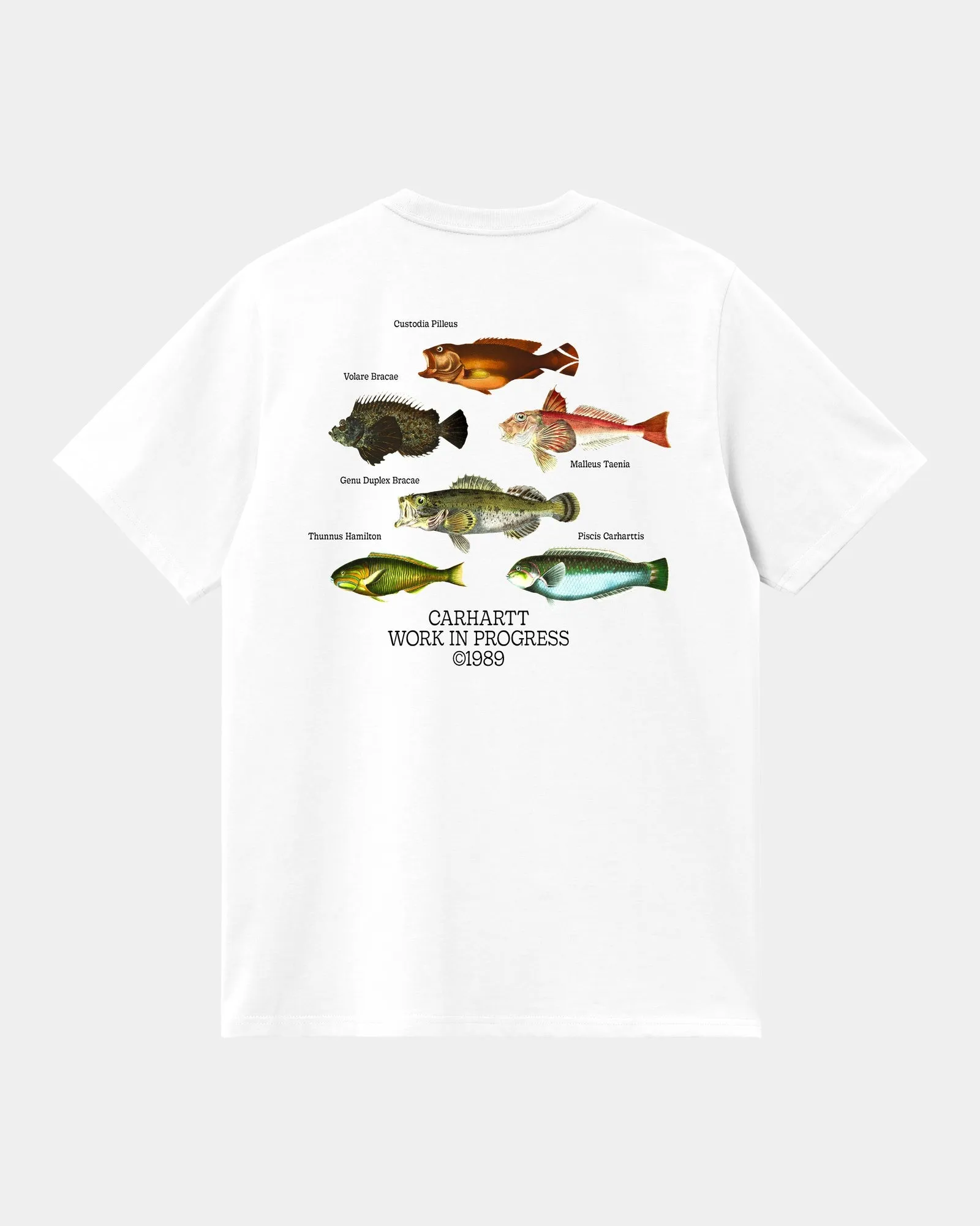 Fish T-Shirt | White