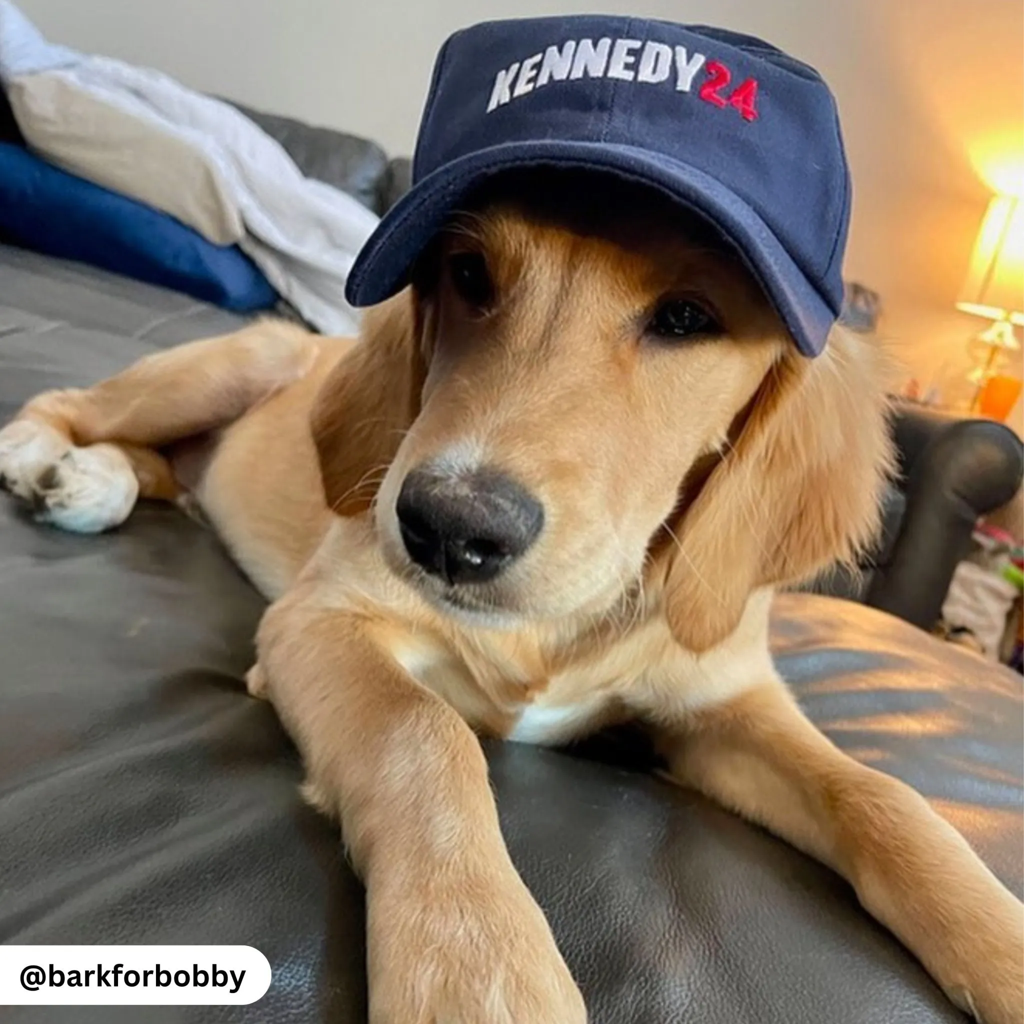 Kennedy 24 Embroidered Dad Hat