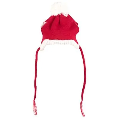 Santa Dog Beanie Hat